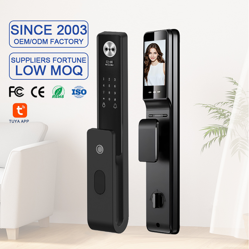 Cerradura Inteligente Tuya Wif - огляд і ціна Smart Door Lock Wifi